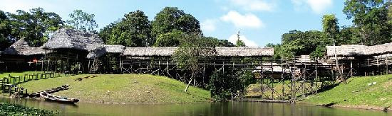 Amazon Refuge