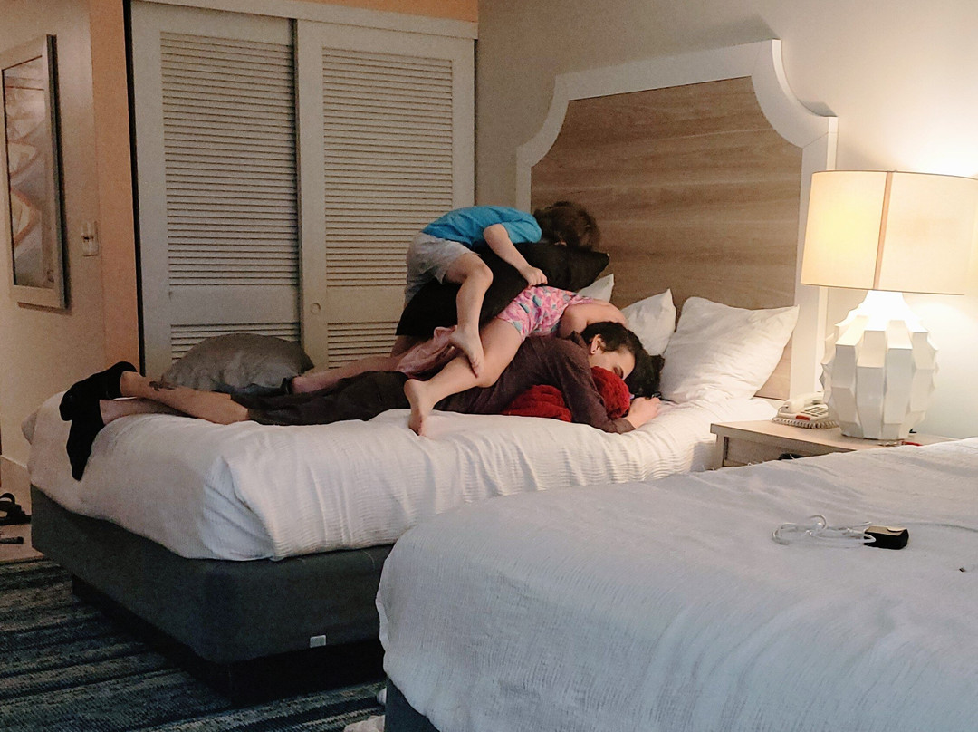 巴哈马豪斯酒店主图