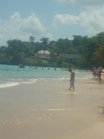 Grand Jamaica and Dunns River Falls Tour-法尔茅斯必去景点