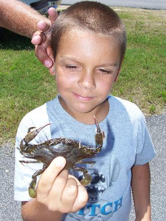 Gulf State Park-格尔夫海岸必去景点