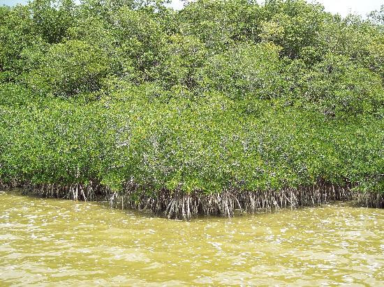 West Lake Trail-大沼泽国家公园必去景点