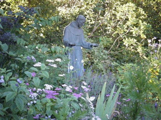 斯翠宾植物园旧金山植物园-旧金山必去景点