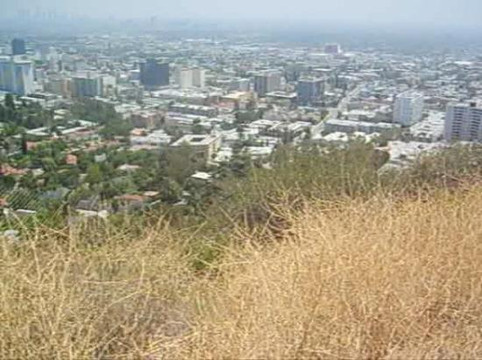 好莱坞山-洛杉矶必去景点