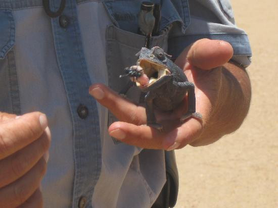 Tommy's Tours and Safaris-斯瓦科普蒙德必去景点