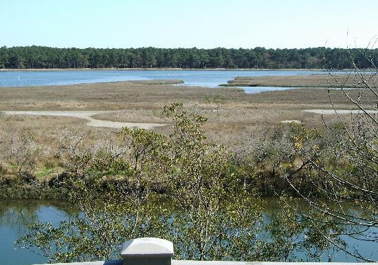 Chincoteague National Wildlife Refuge景点图片