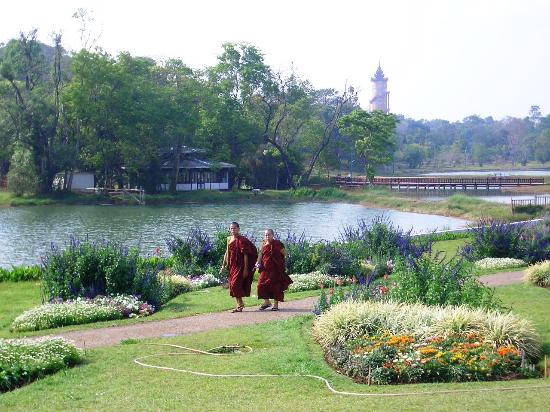National Kandawgyi Botanical Gardens-彬乌伦必去景点