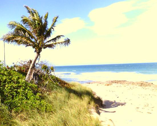 Bathtub Reef Beach-斯图尔特必去景点