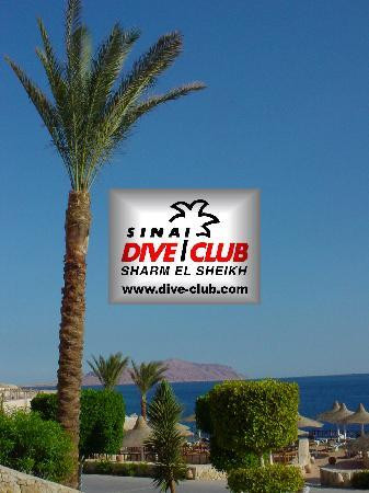 Sinai Dive Club-沙姆沙伊赫必去景点