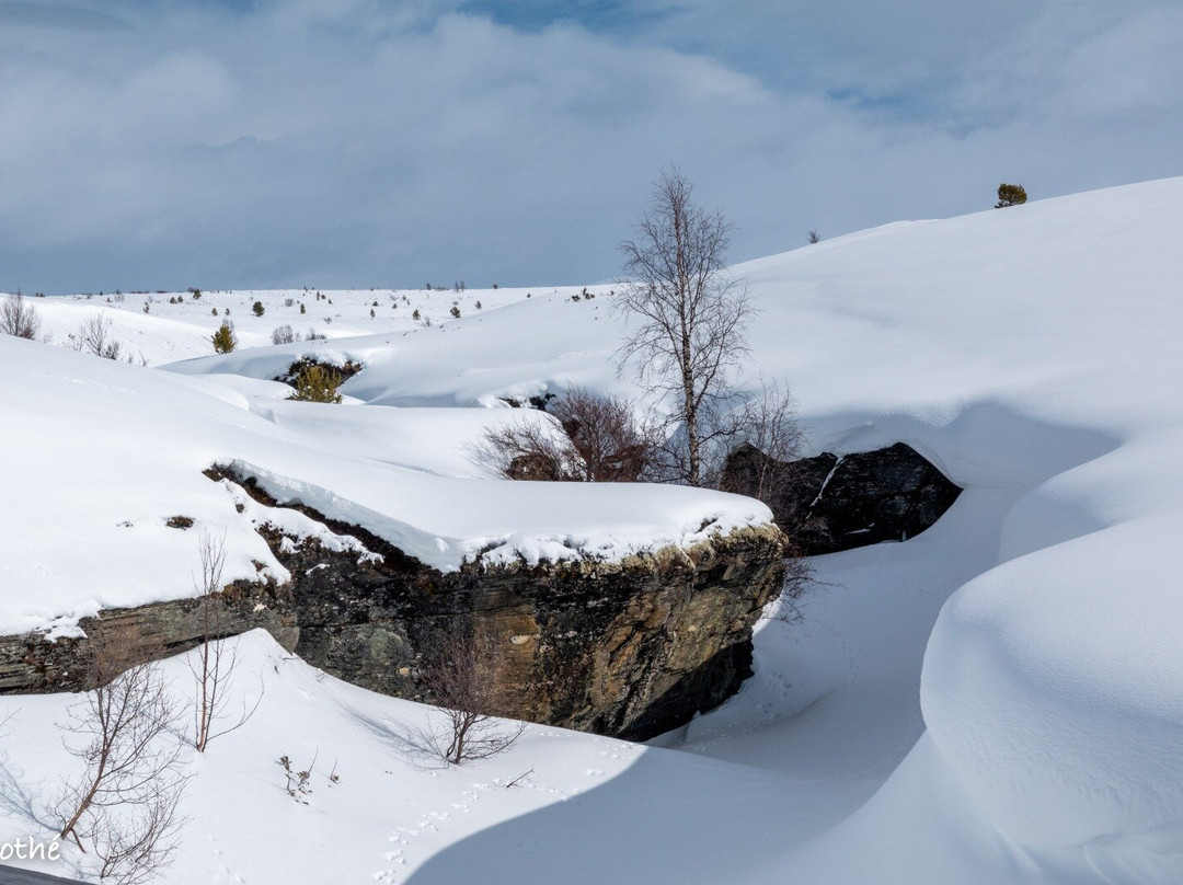 Hovringen Fjellstue主图