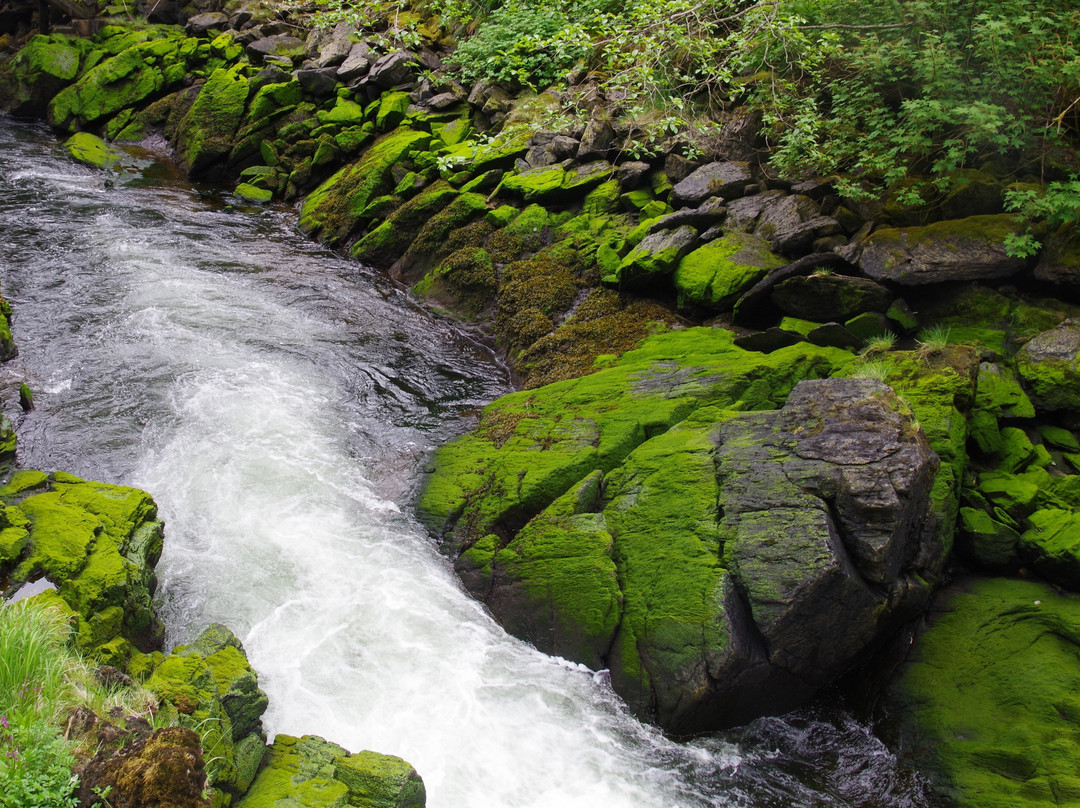 Ketchikan creek and falls-凯奇坎必去景点