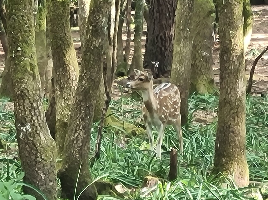 Marcelle Natureza-Outeiro de Rei必去景点