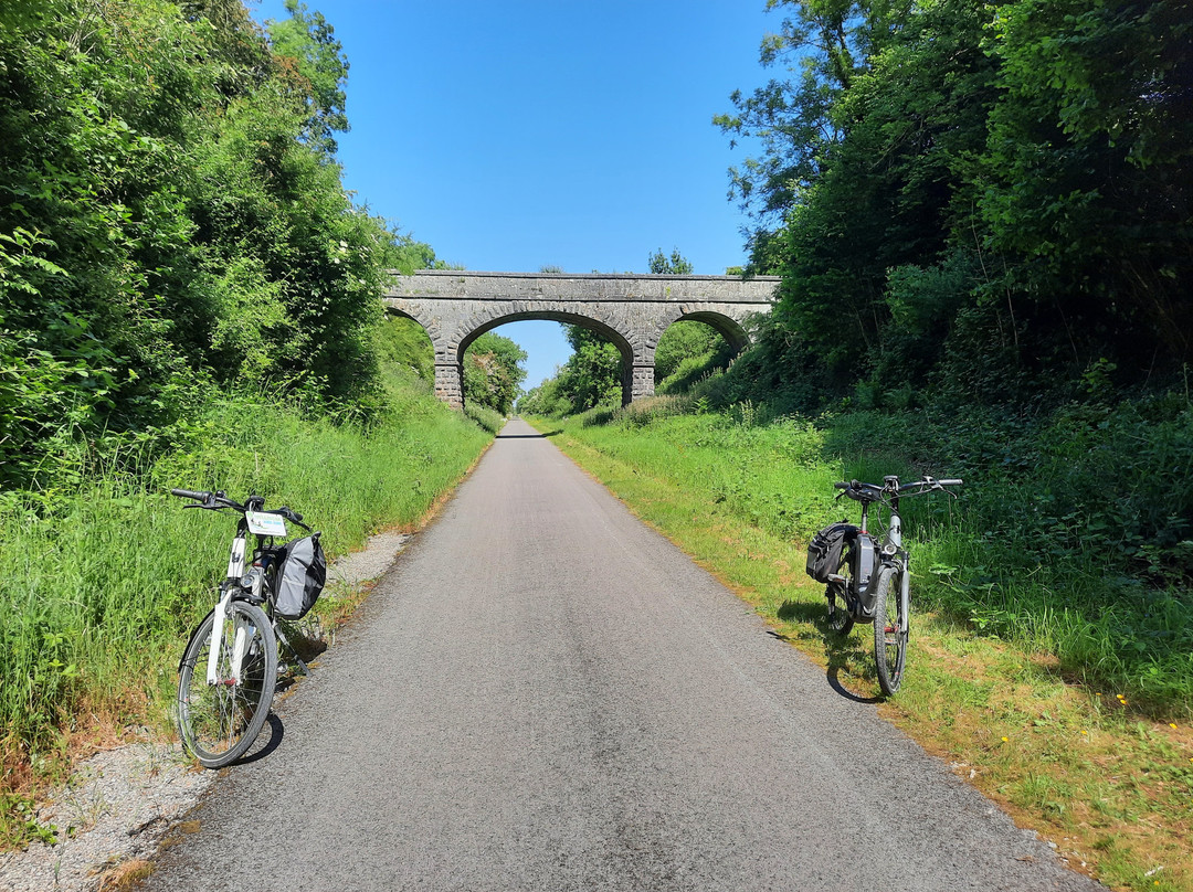 Mullingar Bike Hire景点图片