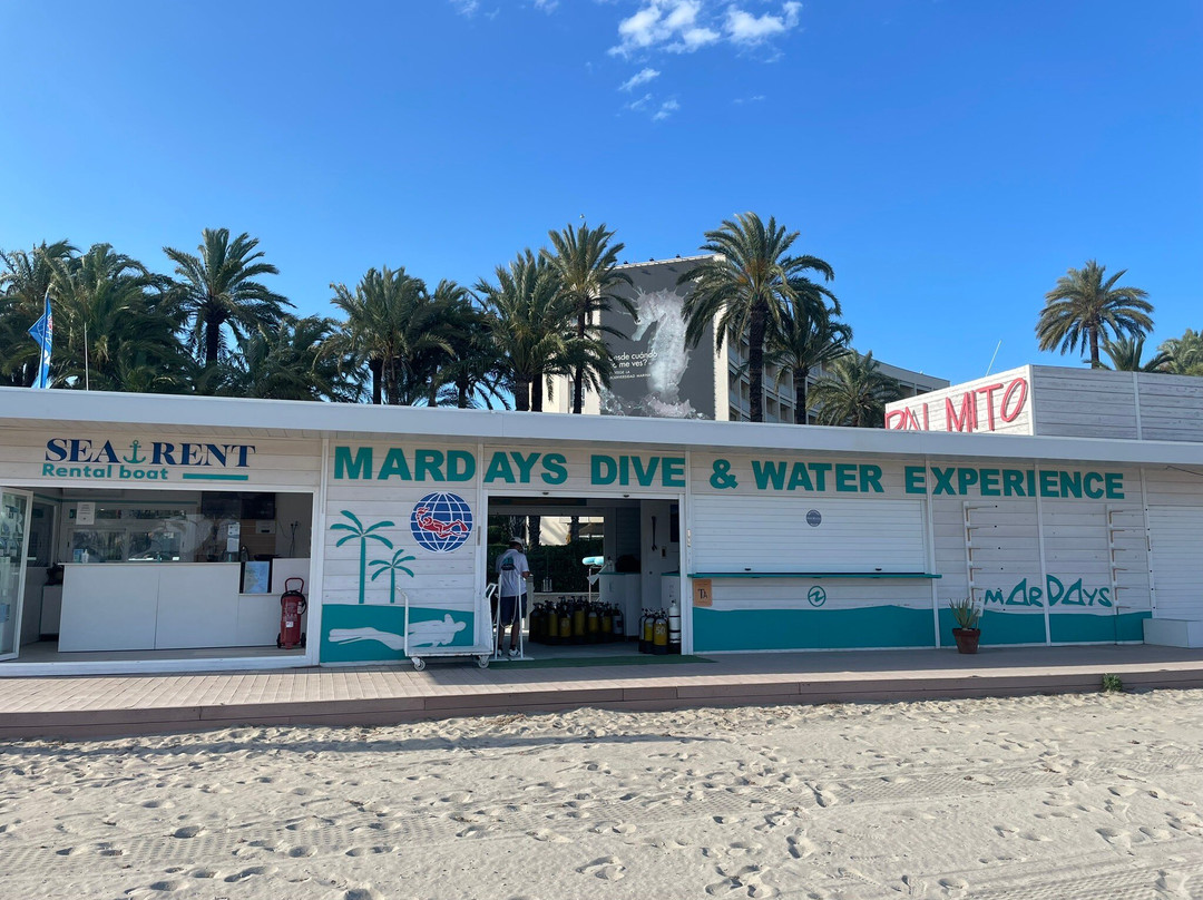 Mardays Dive & Water Experience景点图片