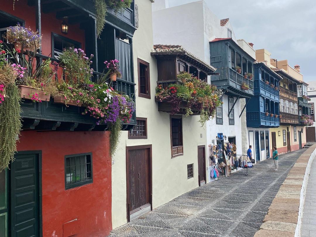 Calle O'Daly景点图片