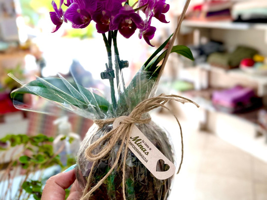 Loja em cantos de minas-圣安东尼奥杜皮尼亚尔必去景点