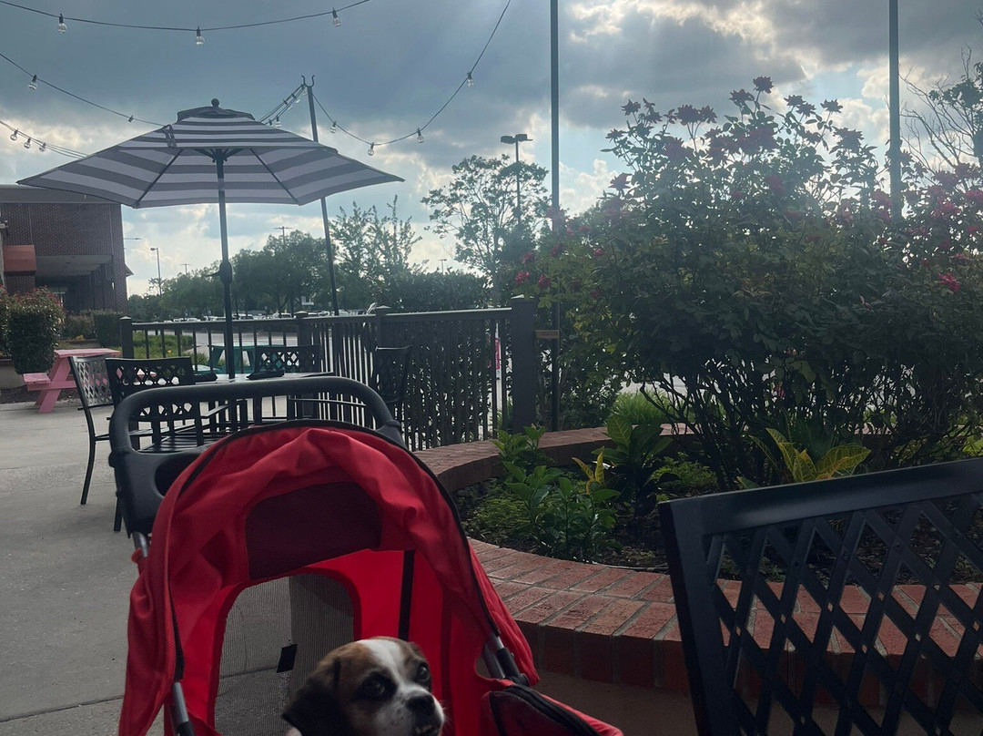 Nonna’s Taste of Italy