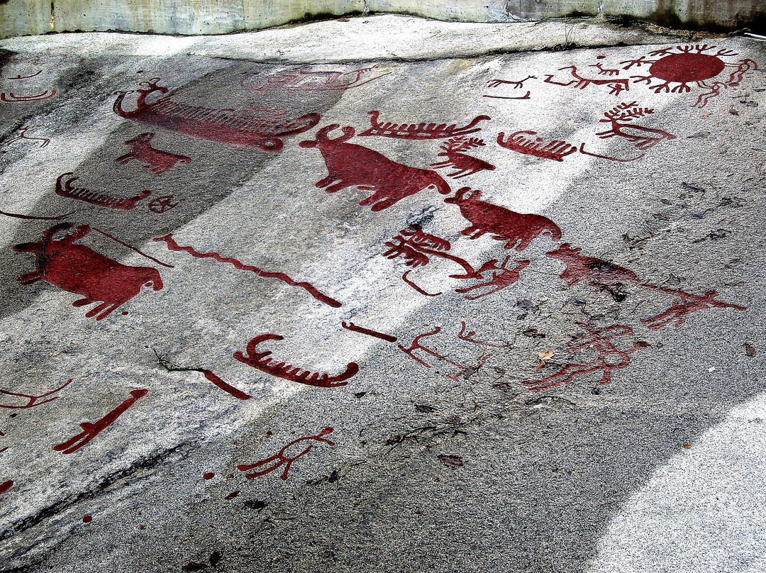 Tanums Hällristningsmuseum Underslös景点图片