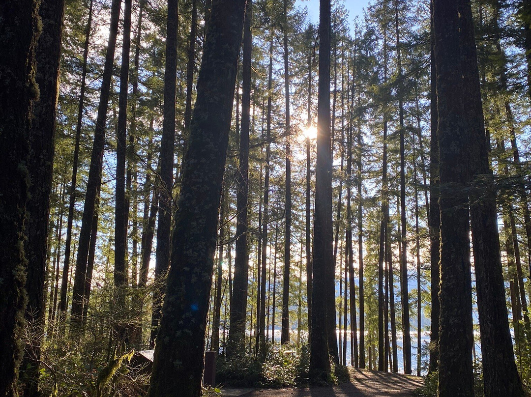 Sproat Lake Provincial Park景点图片