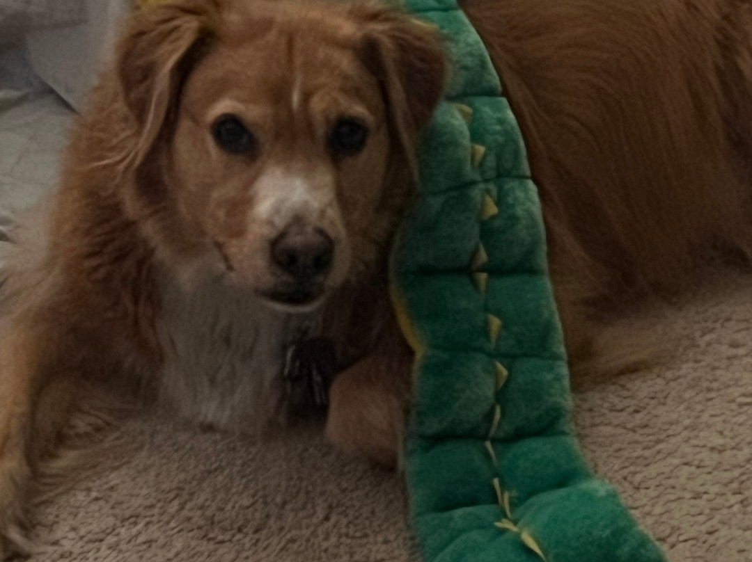 夏洛茨维尔希尔顿花园旅馆主图