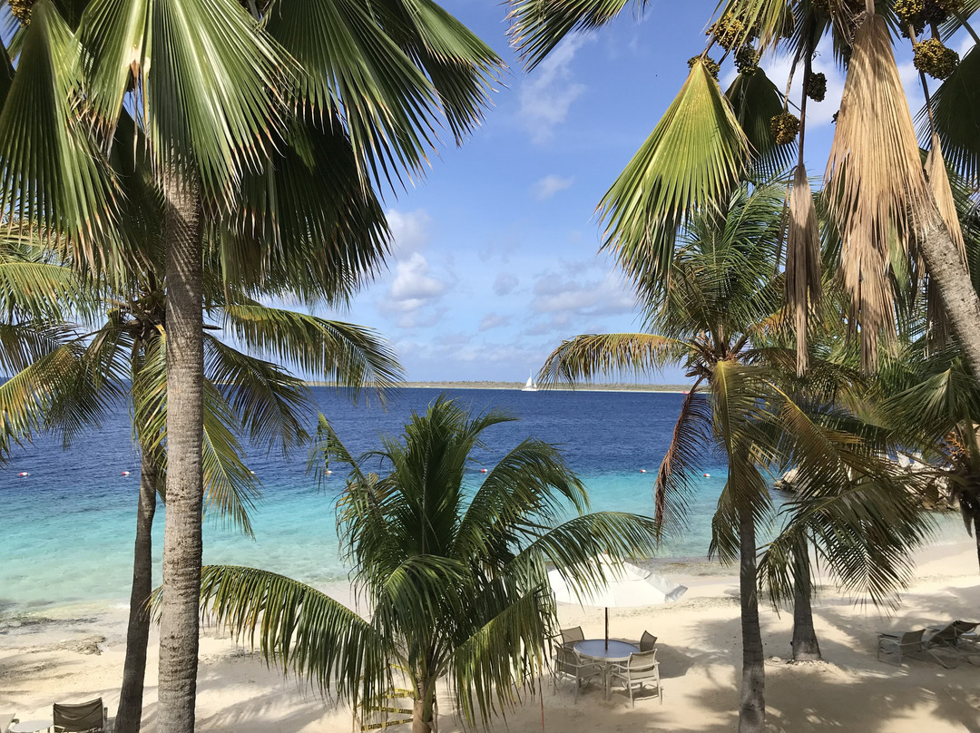 Harbour Village Beach Club主图