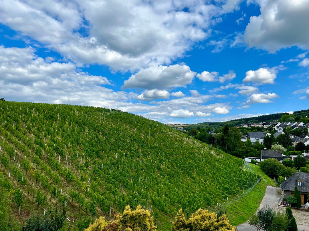 Hotel Weingut Weis主图