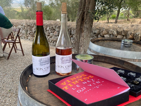 Sa Clasta Wine Tours-马洛卡帕尔马必去景点