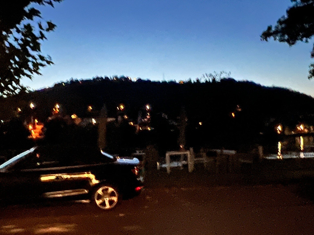 Ferienweingut Hallenbach主图