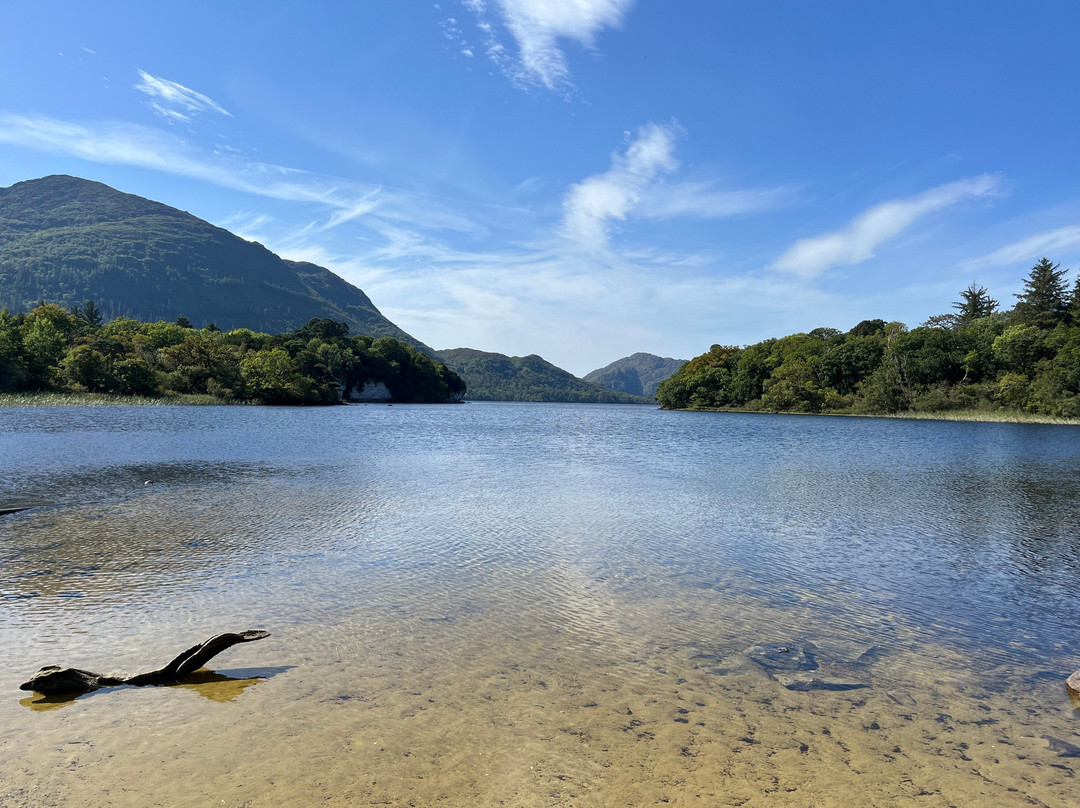 Celtic Nature Walking Tours-丁格尔必去景点