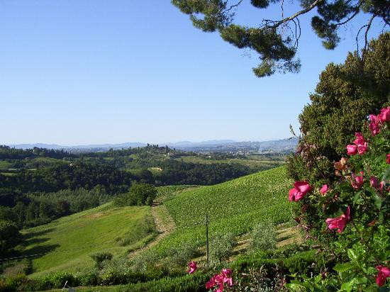Organic Tuscany Cooking Classes-切塔尔多必去景点