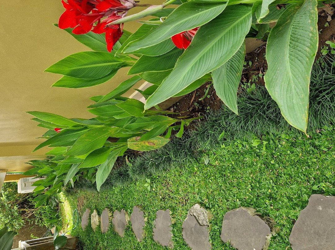 Kubu Bali Baik Villa & Resort主图