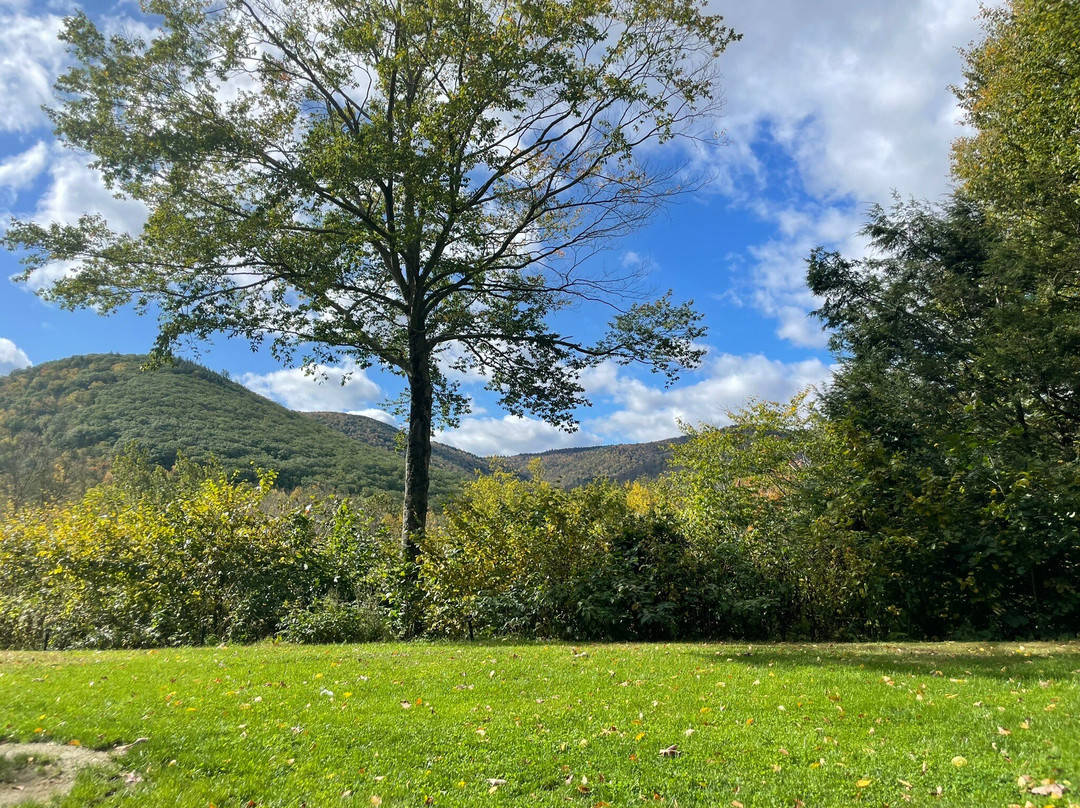 Foolhardy Hill