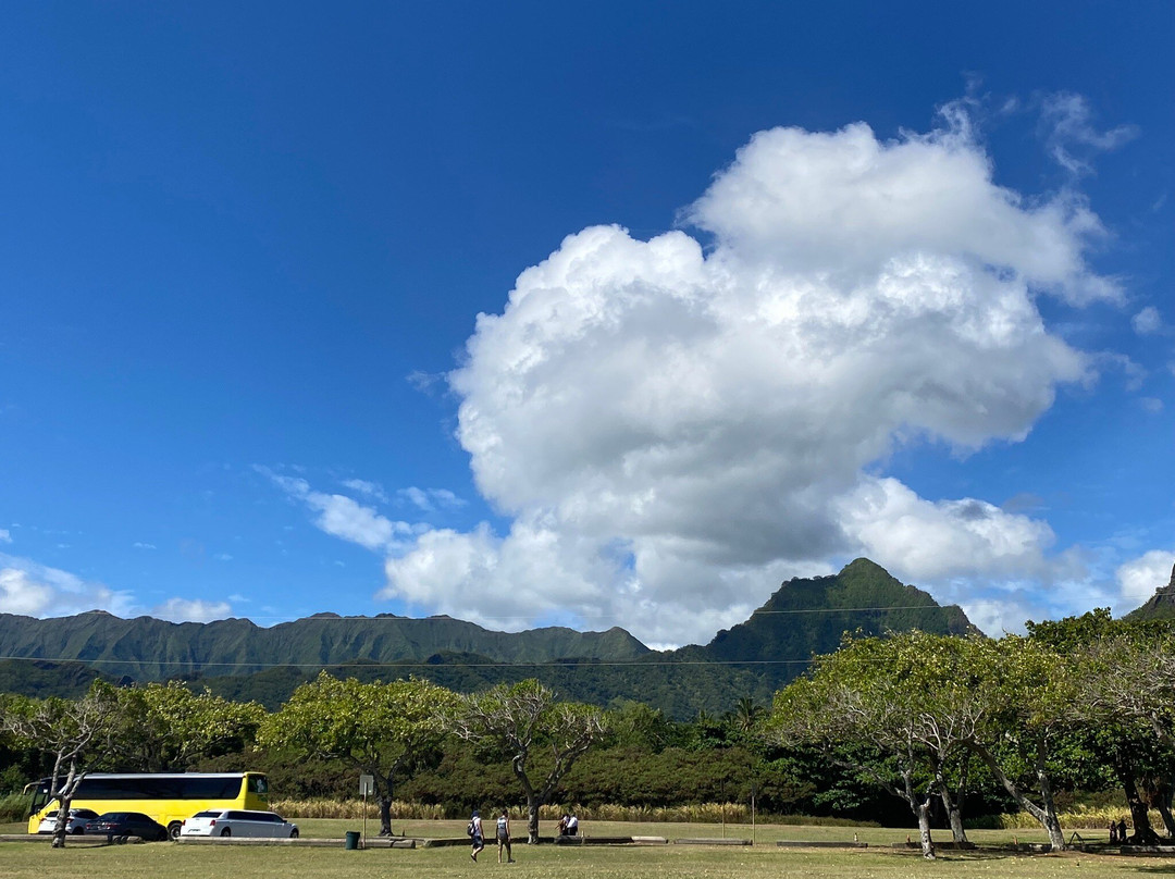 Memory Shuttle & Tours-火奴鲁鲁必去景点
