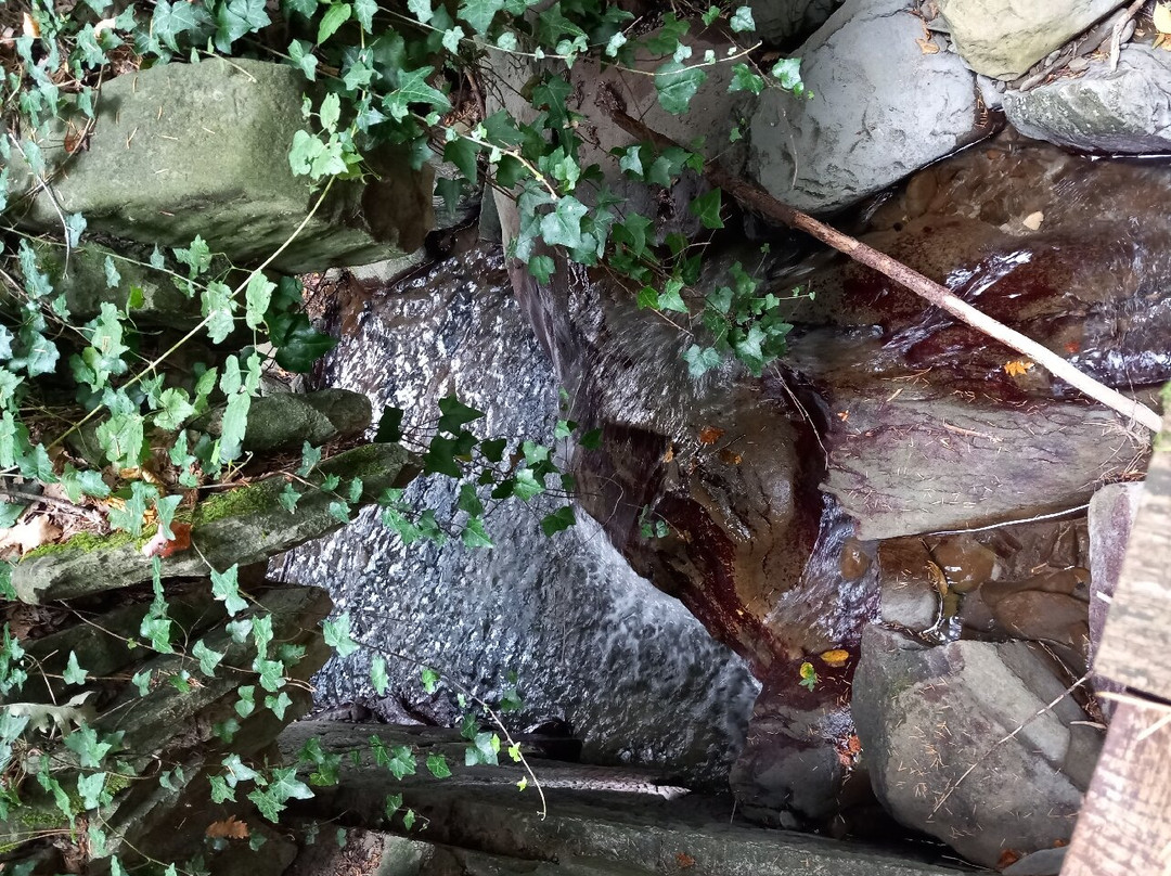 Hotel Da Giovanna主图