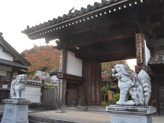 Tachibana-dera Temple-明日香村必去景点