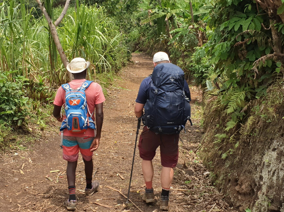 Karongi Lake View Retreat主图