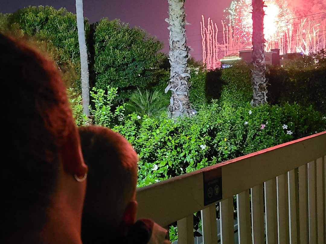 阿纳海姆广场套房酒店主图