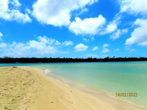 The Naturalist Beach Resort主图