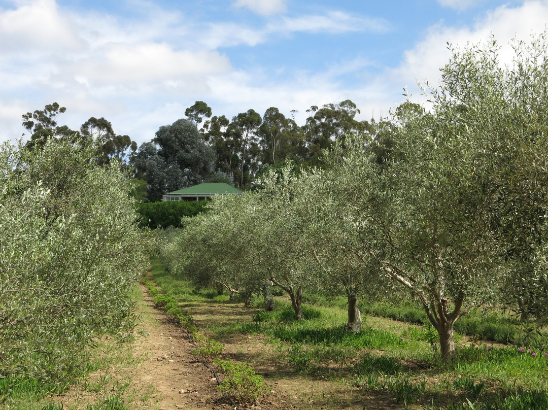 Owl's Rest Olive and Lavender Farm景点图片