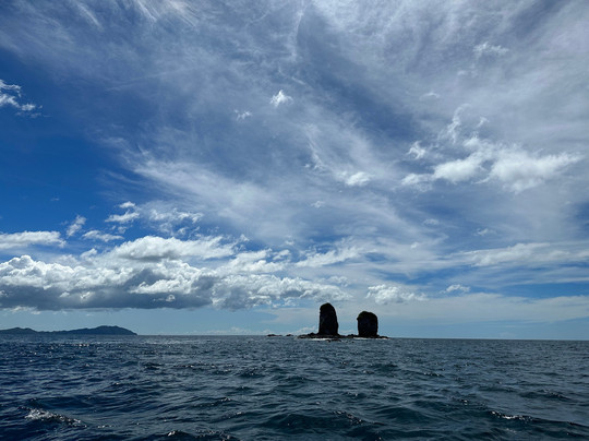 TamaDive-塔马林多必去景点