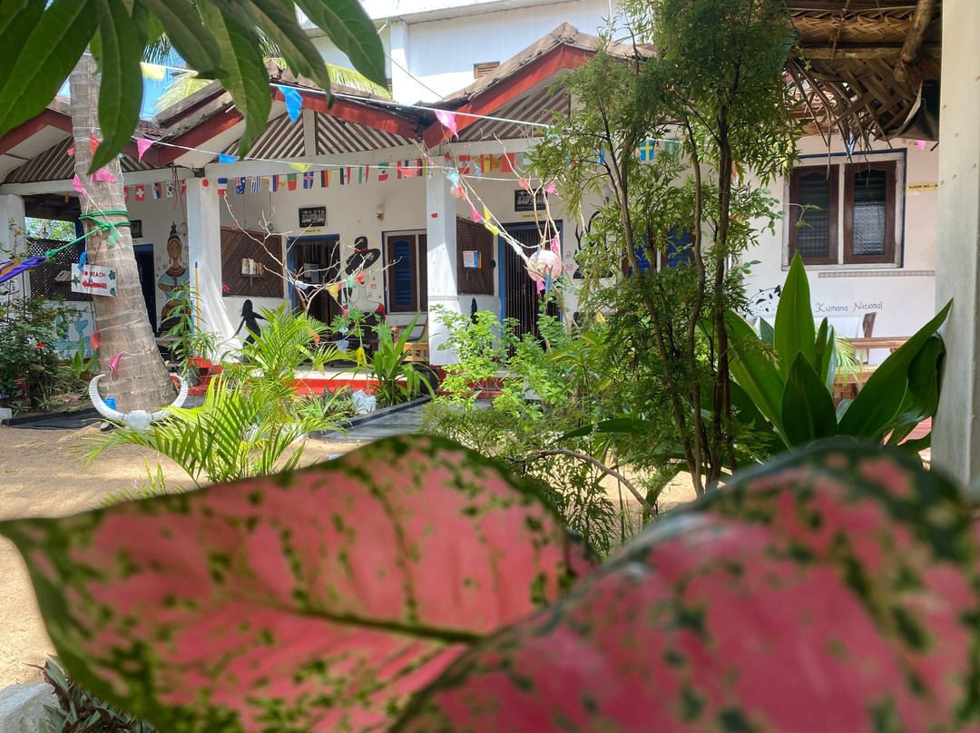 Star Rest Surf Camp主图