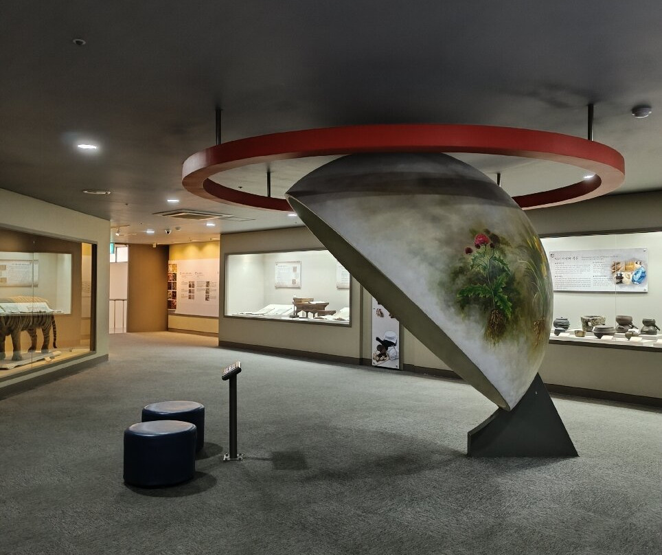 Daegu Yangnyeongsi Museum of Oriental Medicine-大邱必去景点
