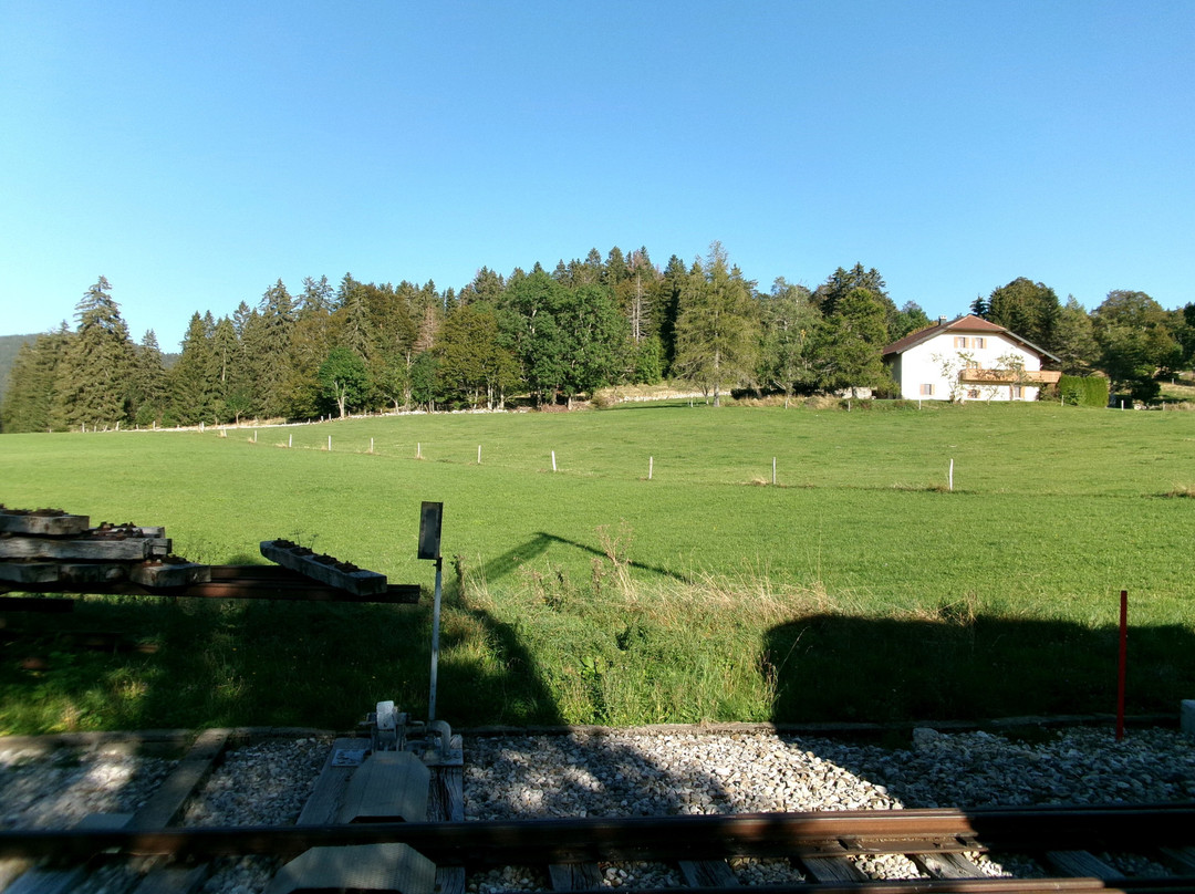 Nyon St-Cergue La Cure Railway-尼永必去景点