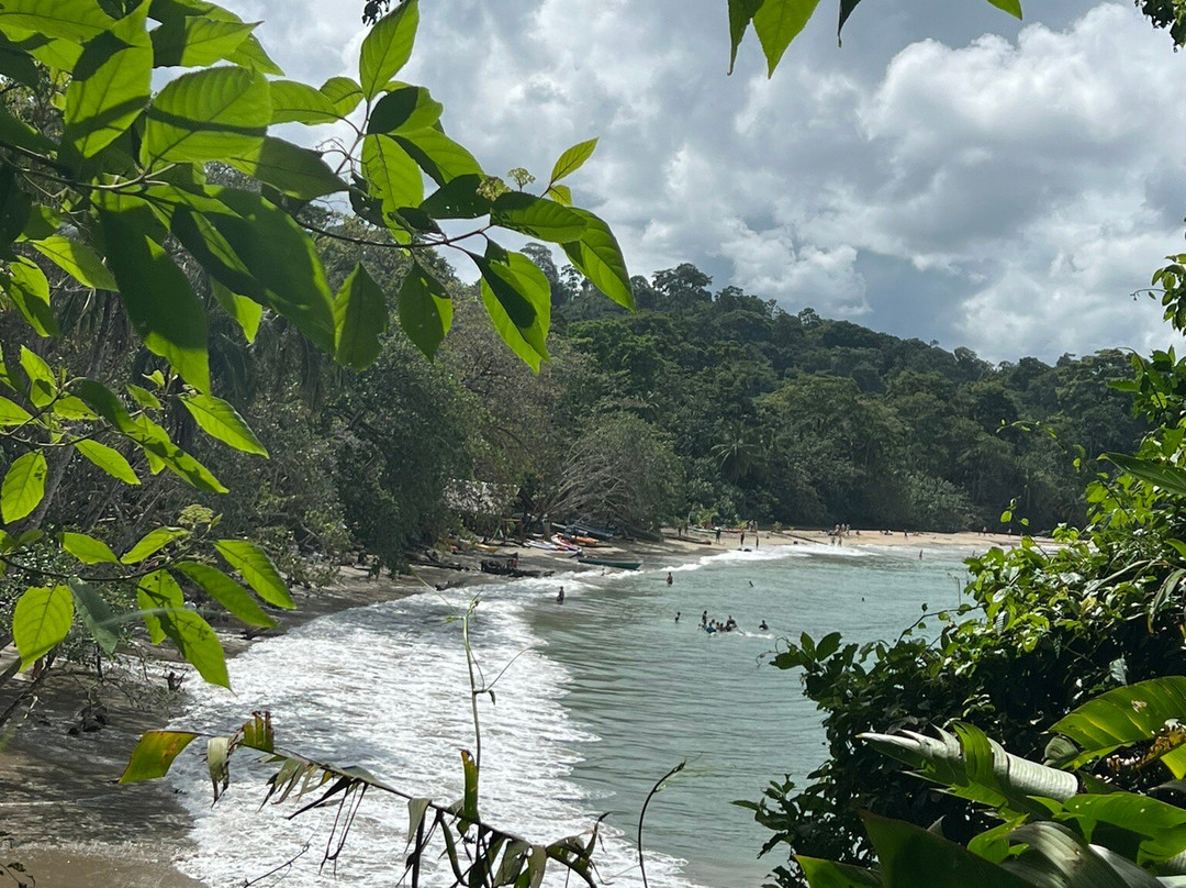 Caribbean Coastering Tours-旧港必去景点