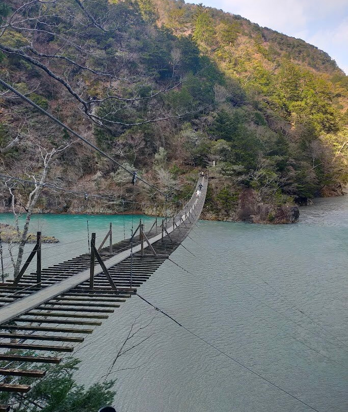 Yume no Tsuribashi Suspension Bridge景点图片