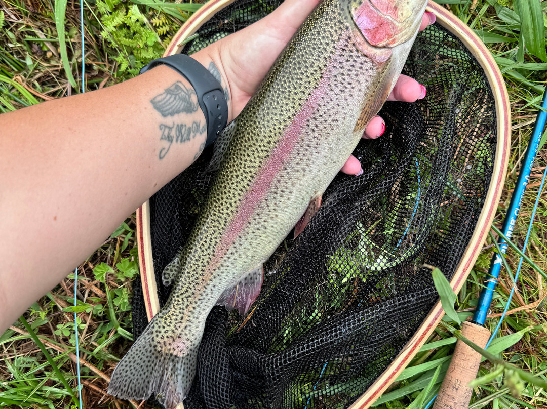 Highland Run Fly Fishing Estate by Dream Resorts