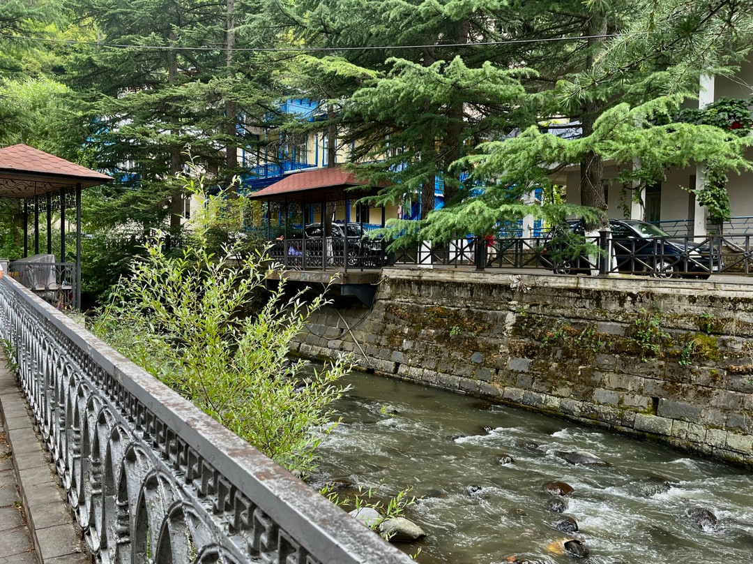 Borjomi Central Park-Borjomi必去景点