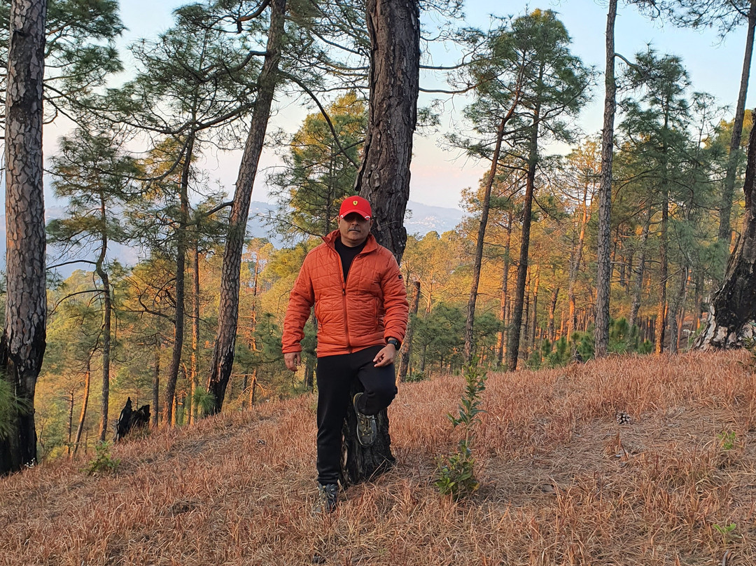 Himalayan Village Sonapani主图