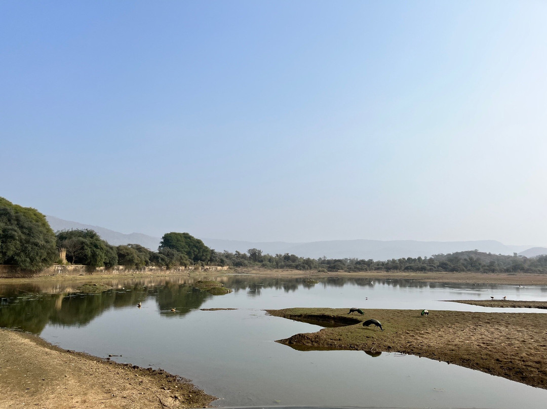 Spree Resort Sariska主图