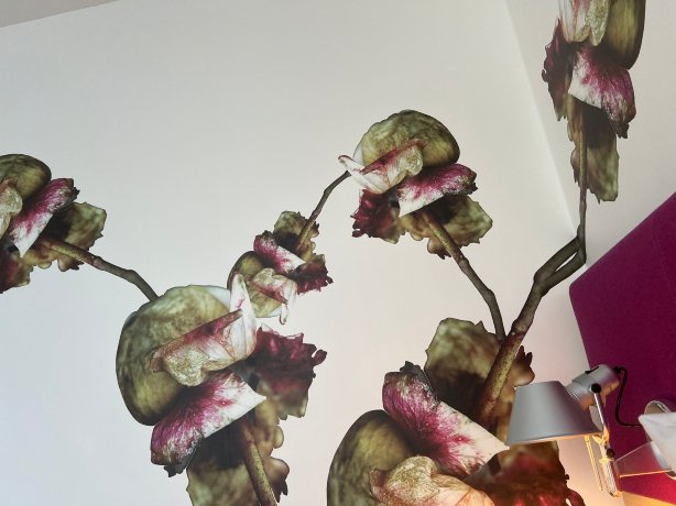 法兰克福假日酒店 - 老歌剧院-官方