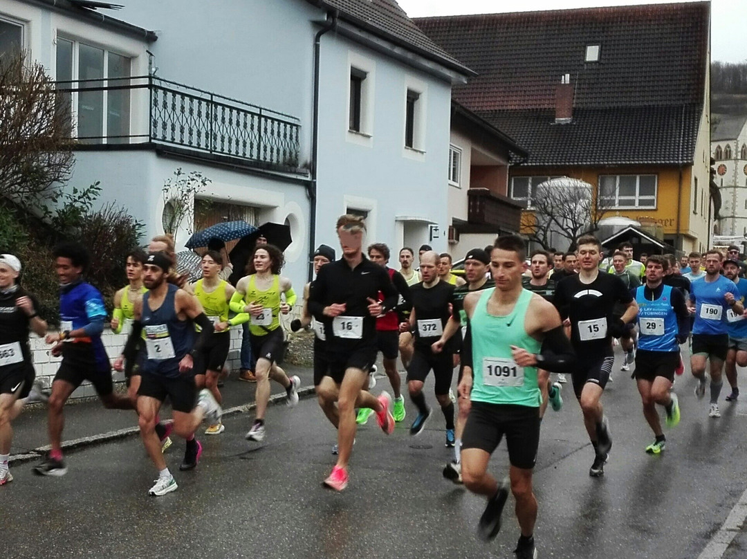 Silvesterlauf Britzingen景点图片